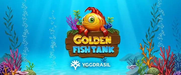 golden fish tank