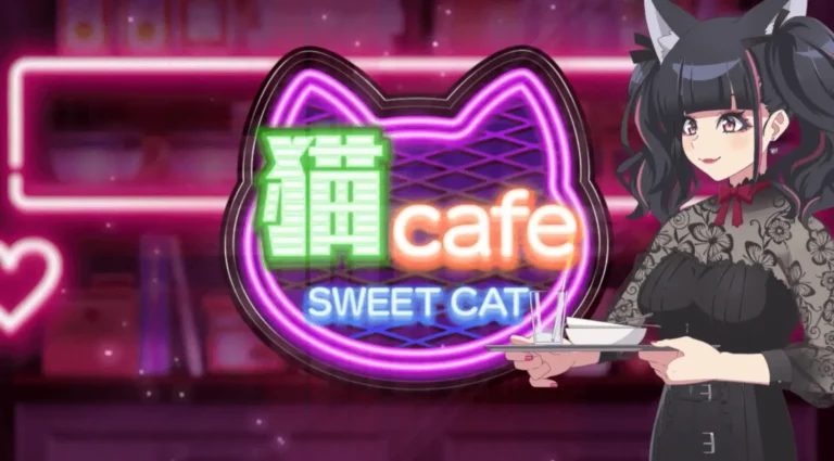 sweet cat cafe