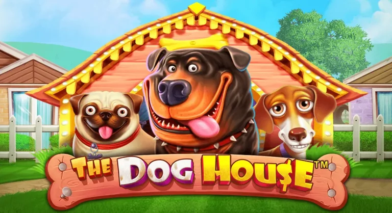 the dog house